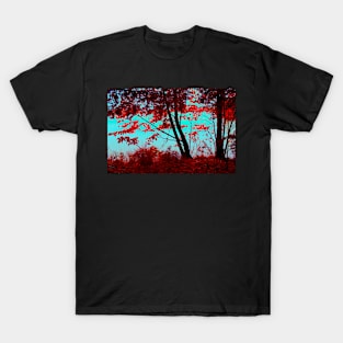 The Fall View T-Shirt